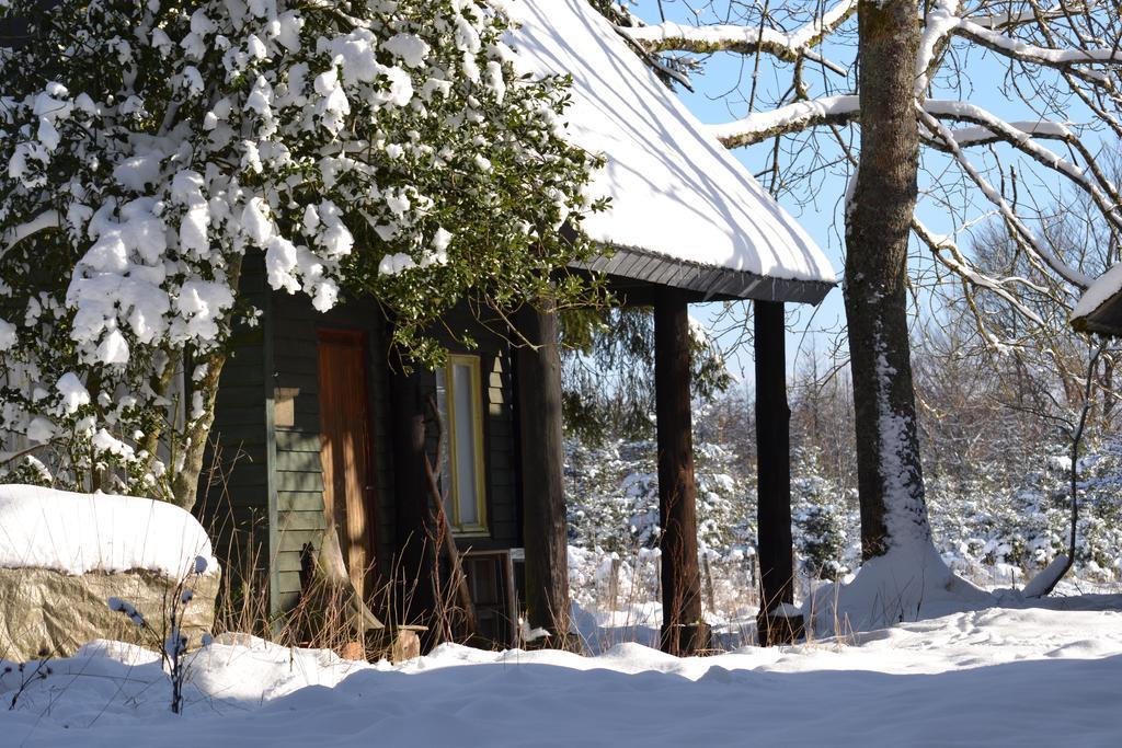 Grune Le Relais Du Moustier 아파트 외부 사진